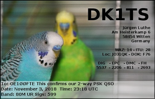 DK1TS